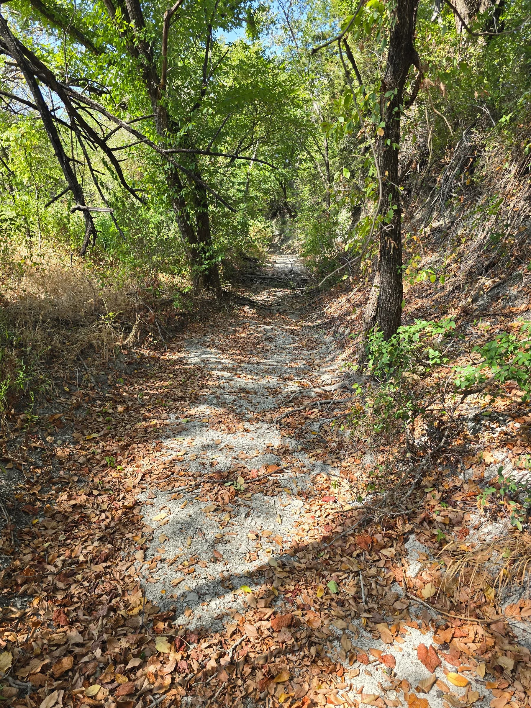 Project photo: a storm drainage before construction